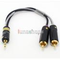 3.5mm To 2 RCA Adapt...